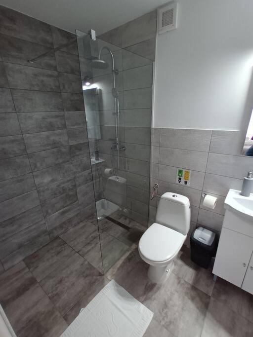 Old Town Studio 1 Apartment Nr 4 Baia Mare Luaran gambar