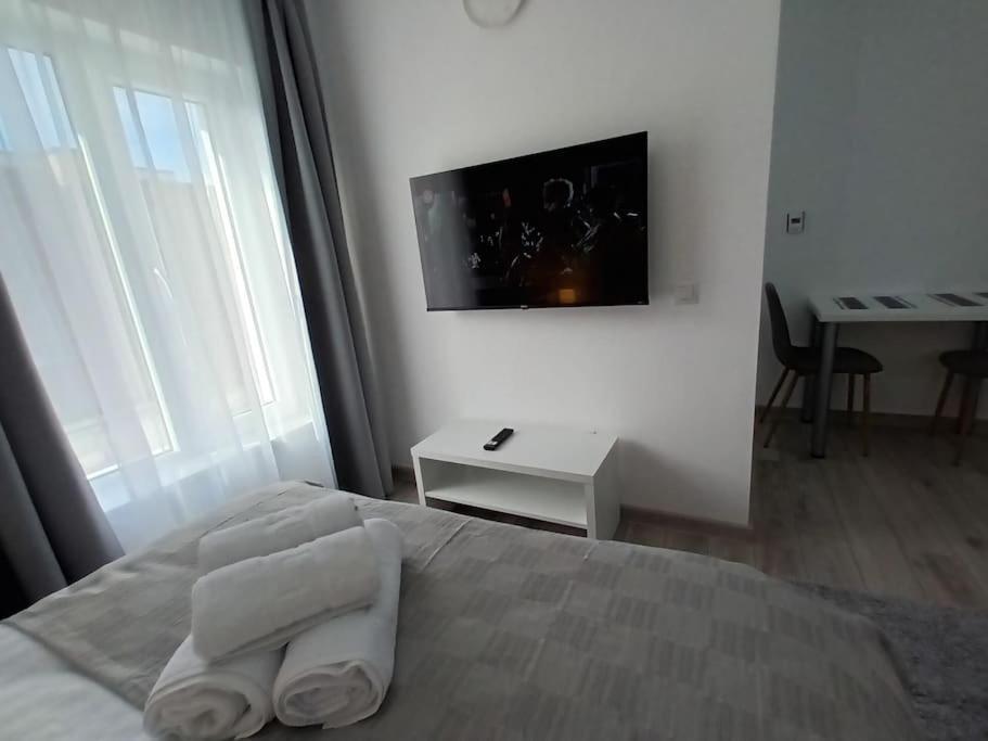 Old Town Studio 1 Apartment Nr 4 Baia Mare Luaran gambar
