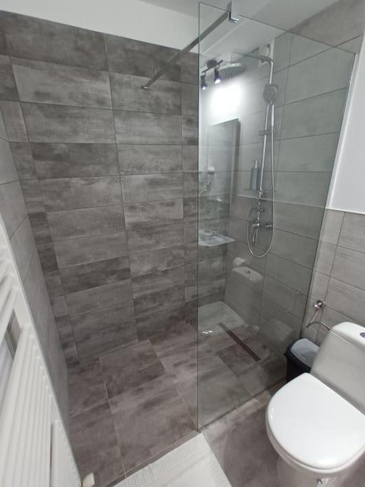 Old Town Studio 1 Apartment Nr 4 Baia Mare Luaran gambar