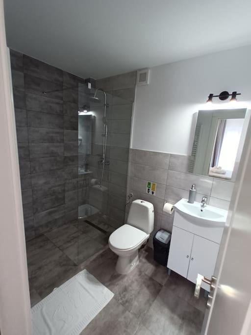 Old Town Studio 1 Apartment Nr 4 Baia Mare Luaran gambar