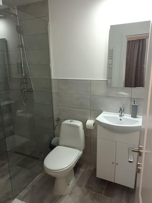 Old Town Studio 1 Apartment Nr 4 Baia Mare Luaran gambar