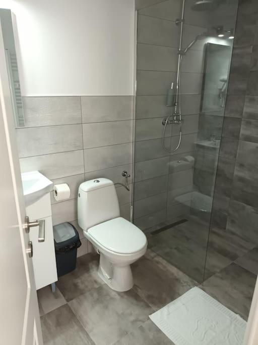 Old Town Studio 1 Apartment Nr 4 Baia Mare Luaran gambar