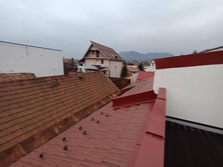 Old Town Studio 1 Apartment Nr 4 Baia Mare Luaran gambar