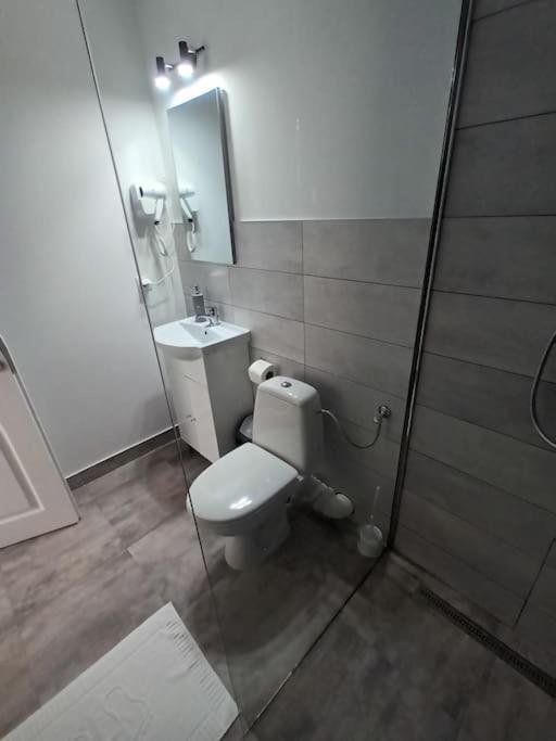 Old Town Studio 1 Apartment Nr 4 Baia Mare Luaran gambar