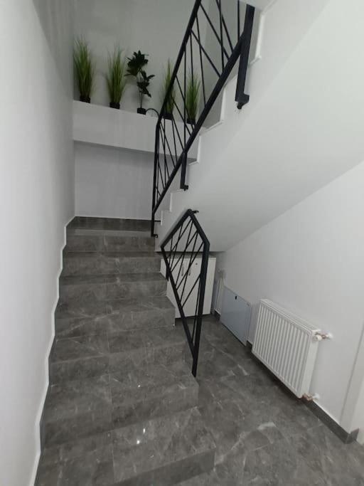 Old Town Studio 1 Apartment Nr 4 Baia Mare Luaran gambar