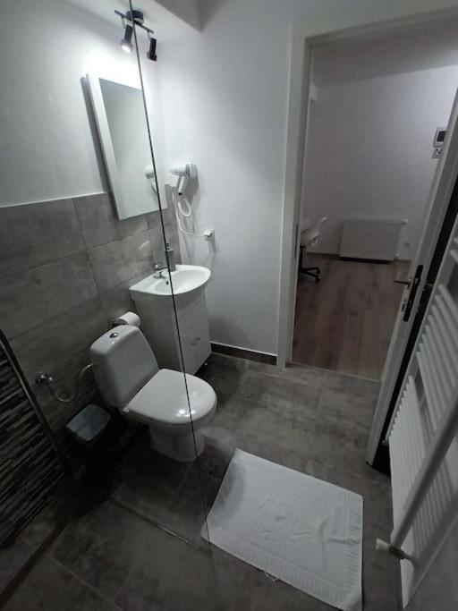 Old Town Studio 1 Apartment Nr 4 Baia Mare Luaran gambar