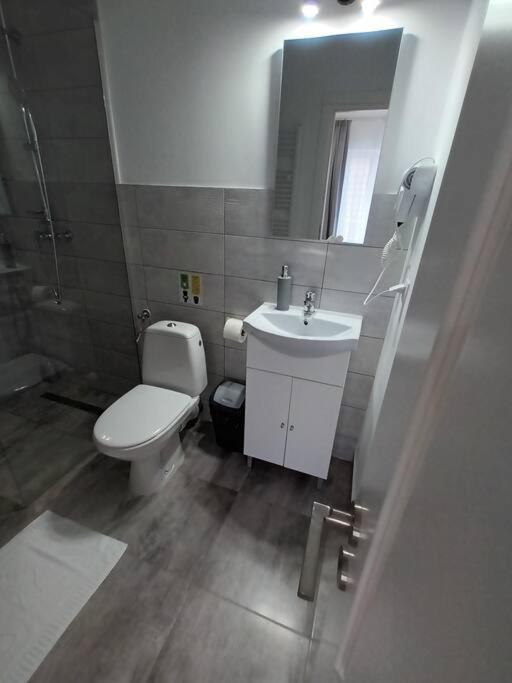 Old Town Studio 1 Apartment Nr 4 Baia Mare Luaran gambar