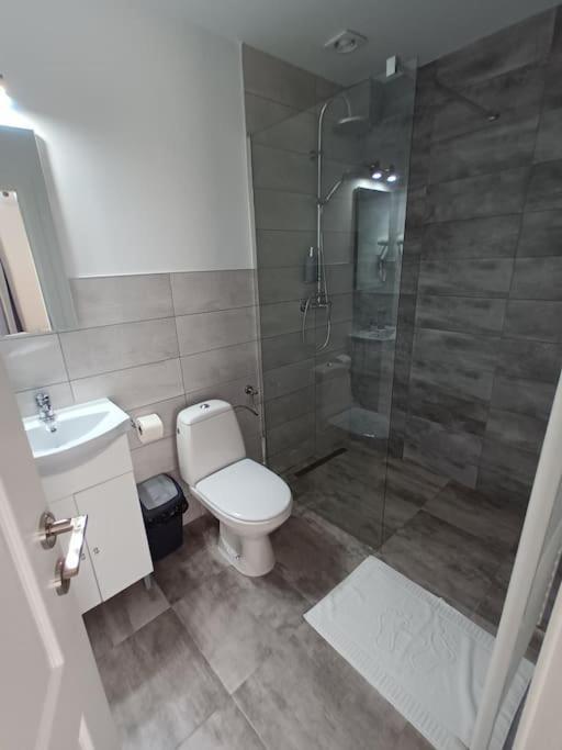 Old Town Studio 1 Apartment Nr 4 Baia Mare Luaran gambar