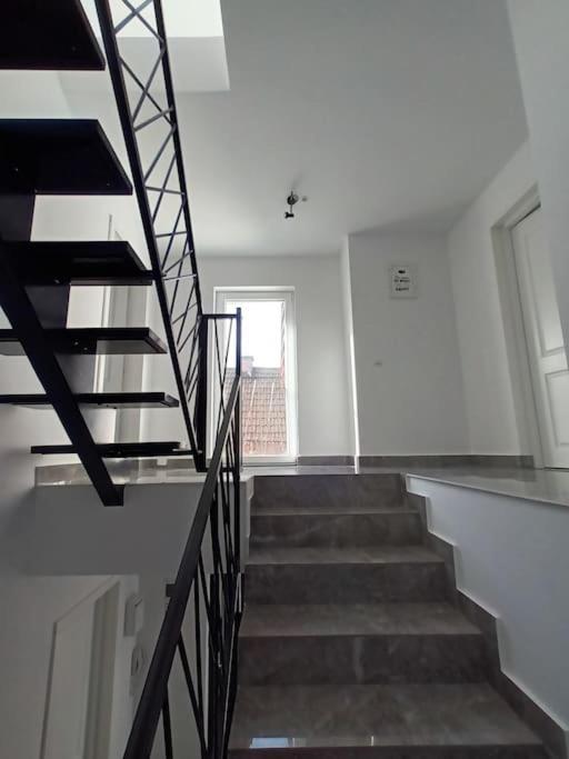Old Town Studio 1 Apartment Nr 4 Baia Mare Luaran gambar
